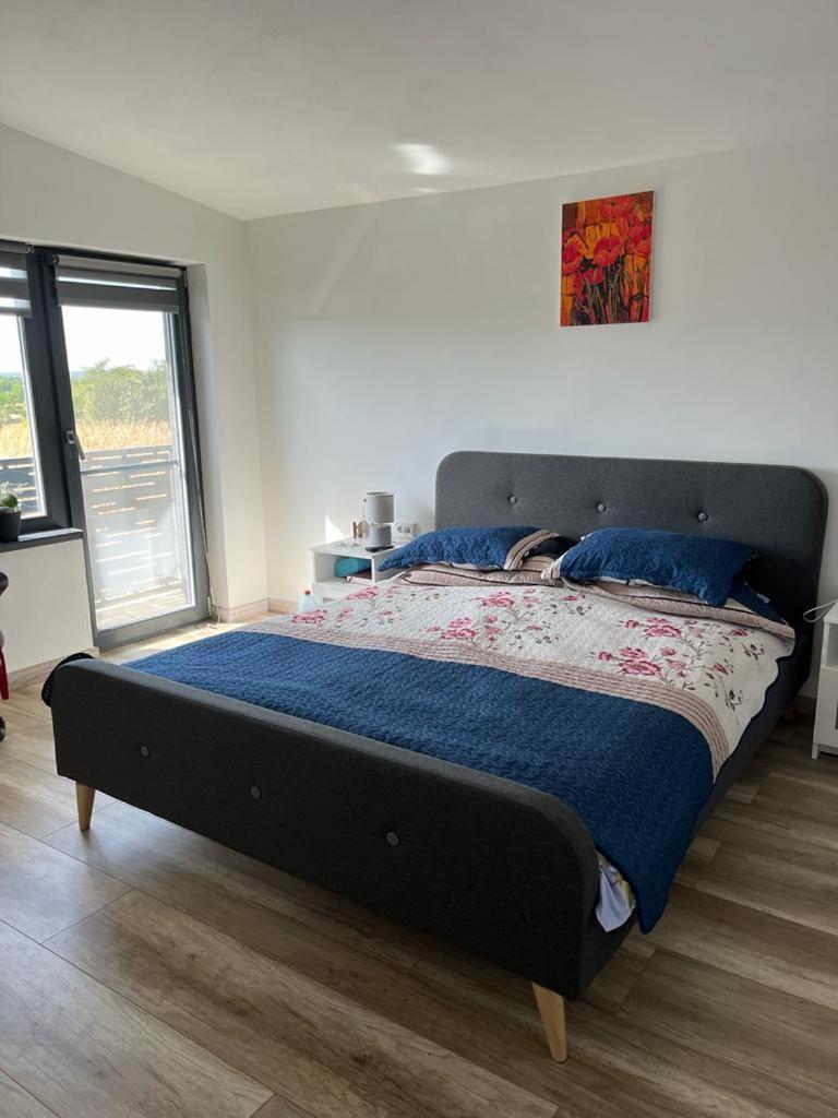 Willa Mimi House Baia de Fier Zewnętrze zdjęcie